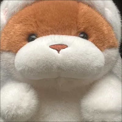 햄스터 후드 모찌 곰돌이 봉제인형