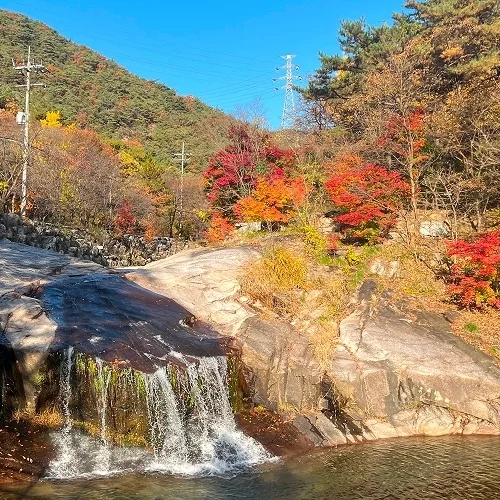 화로 화정역점 황금 새우튀김